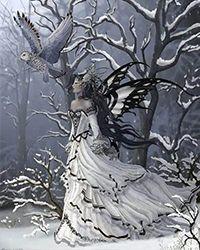 小岛夏夜讲的什么